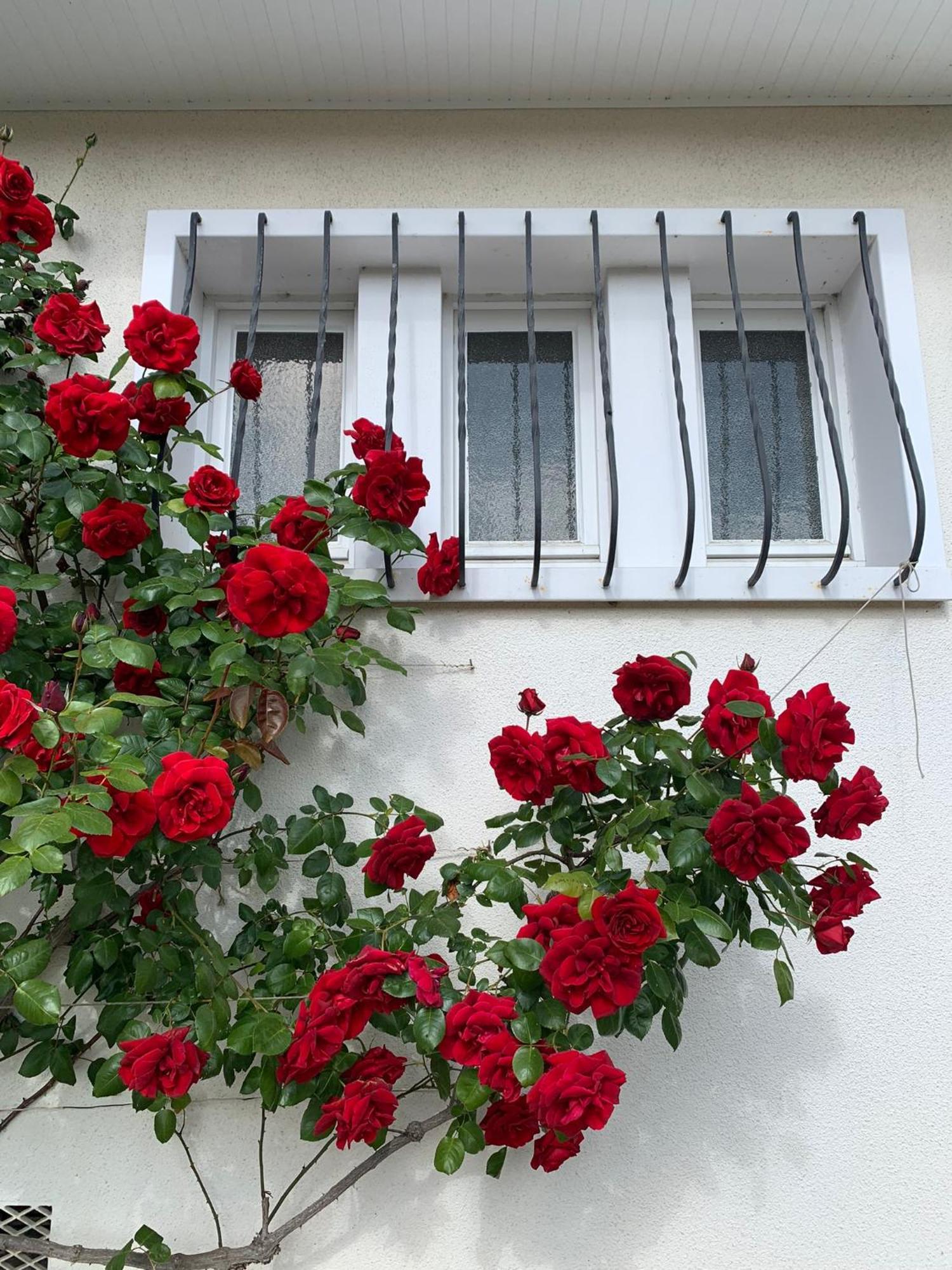 Les Cormiers Villa Chailles  Exterior photo